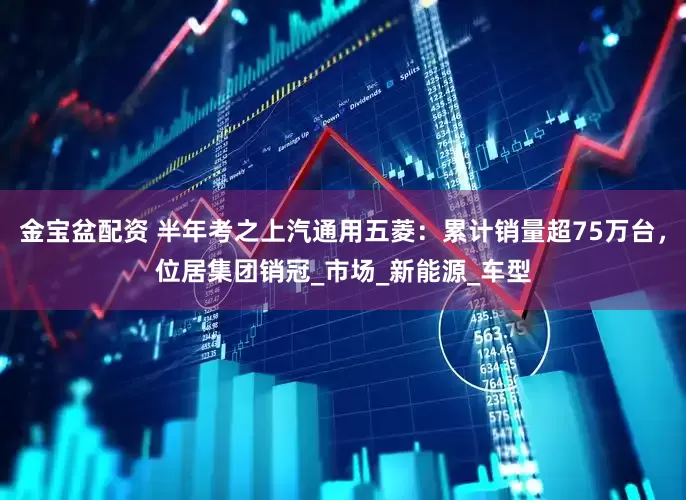 金宝盆配资 半年考之上汽通用五菱：累计销量超75万台，位居集团销冠_市场_新能源_车型